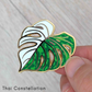 Monstera Hard Enamel Pin